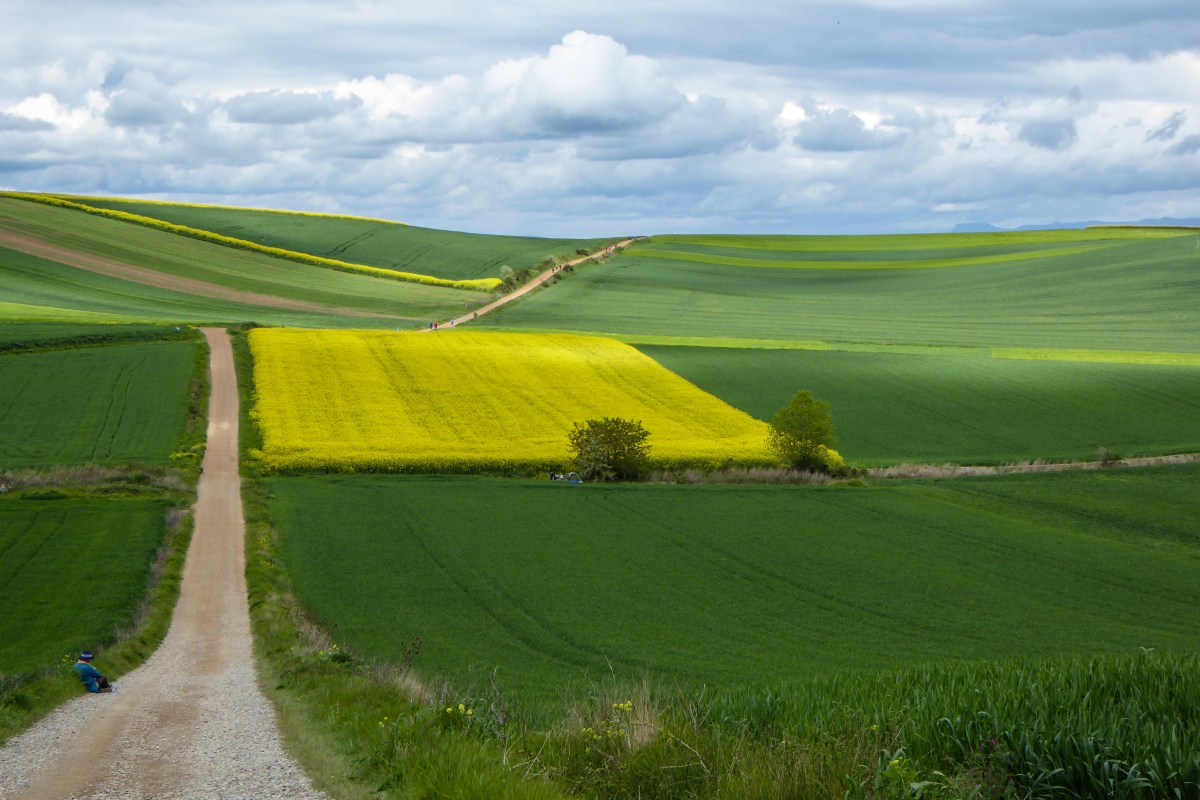 Copyright RJK / El camino de santiago