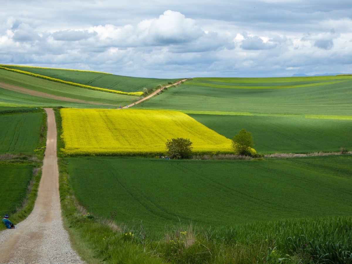 Nájera to Santo Domingo de la Calzada.