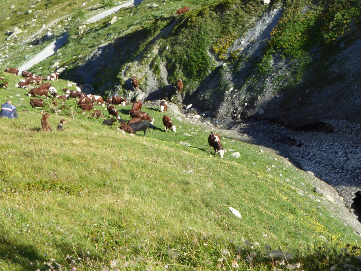 Rifugio Bonatti to La Fouly