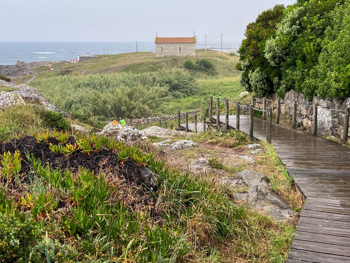 Matosinhos to  Vila do Conde