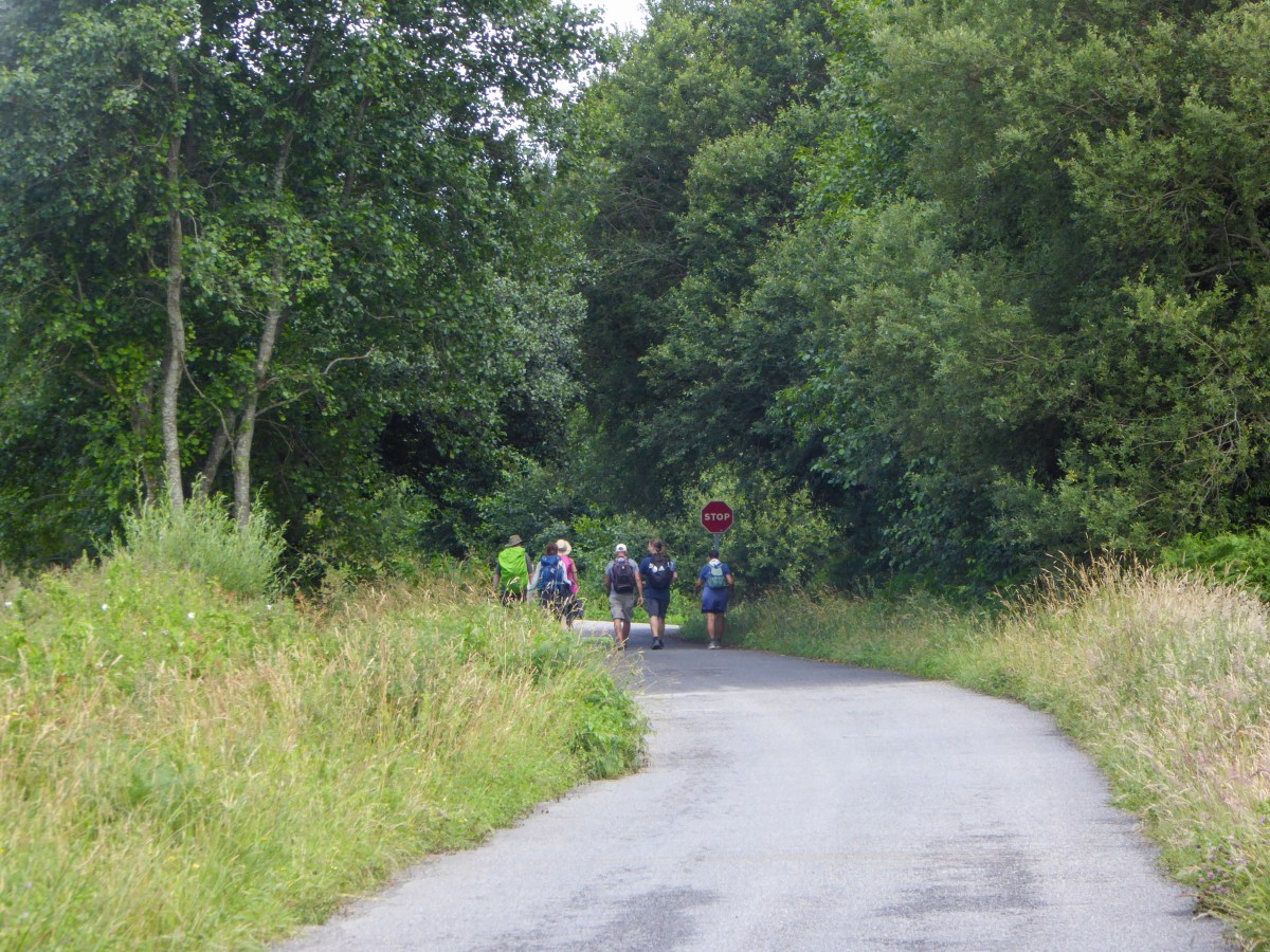 Pontevedra to Caldas de Reís