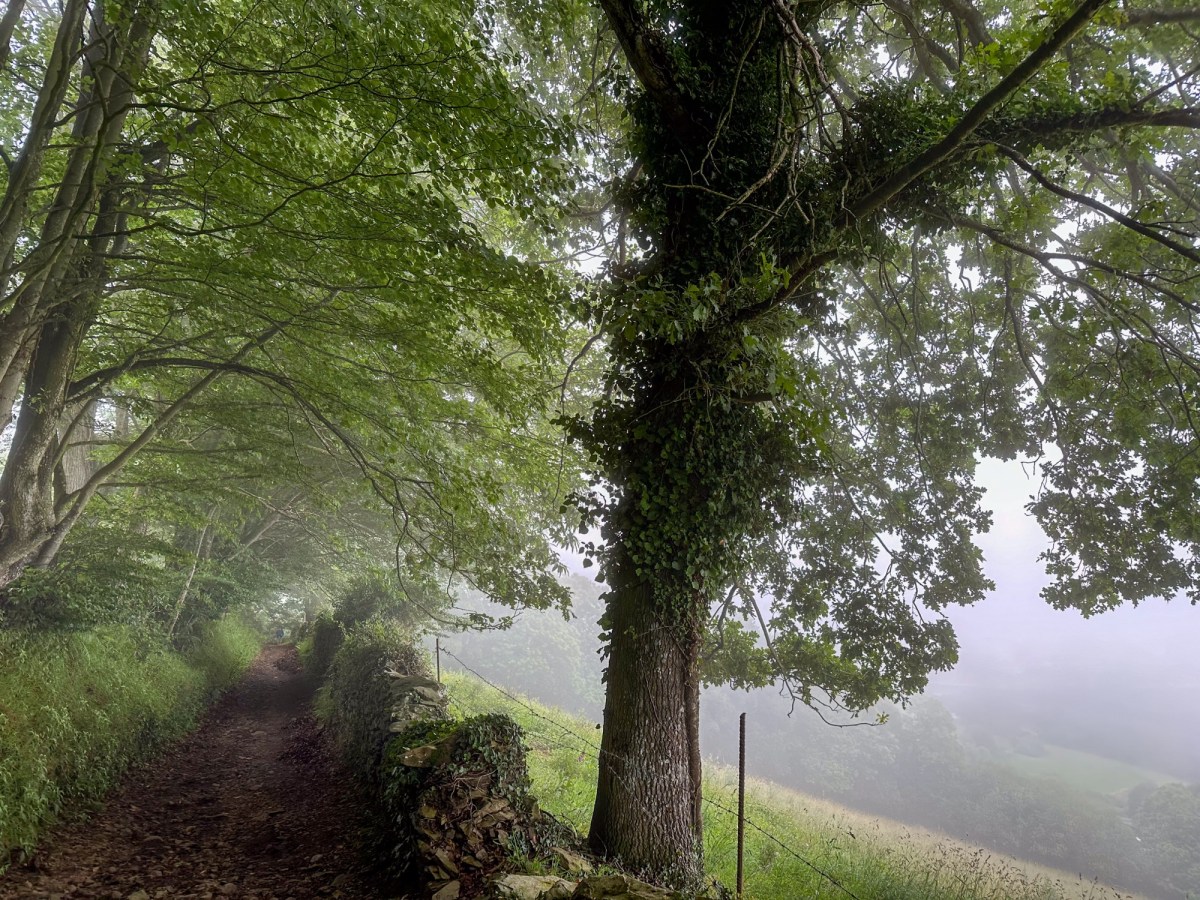 Tineo to Pola de Allande