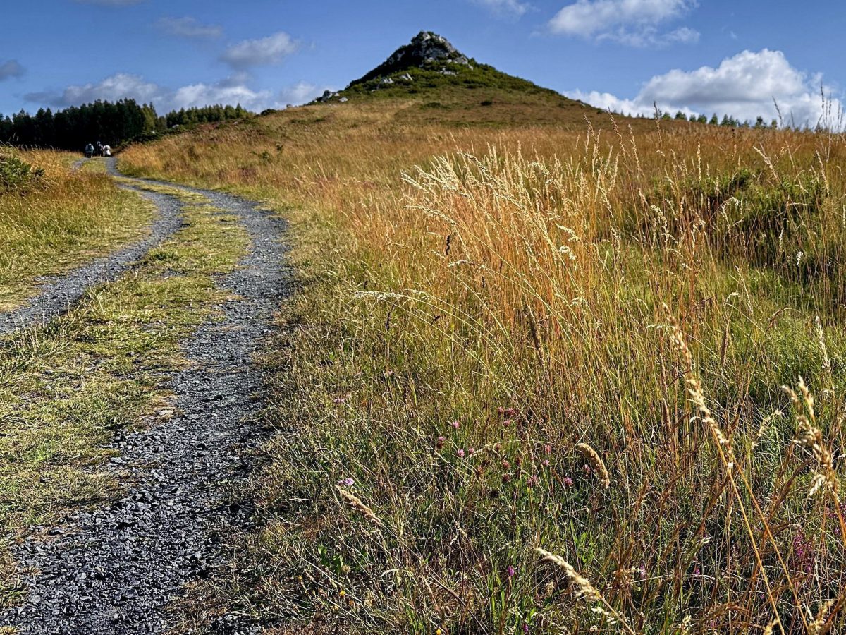 A Ponte Ferreira to Melide