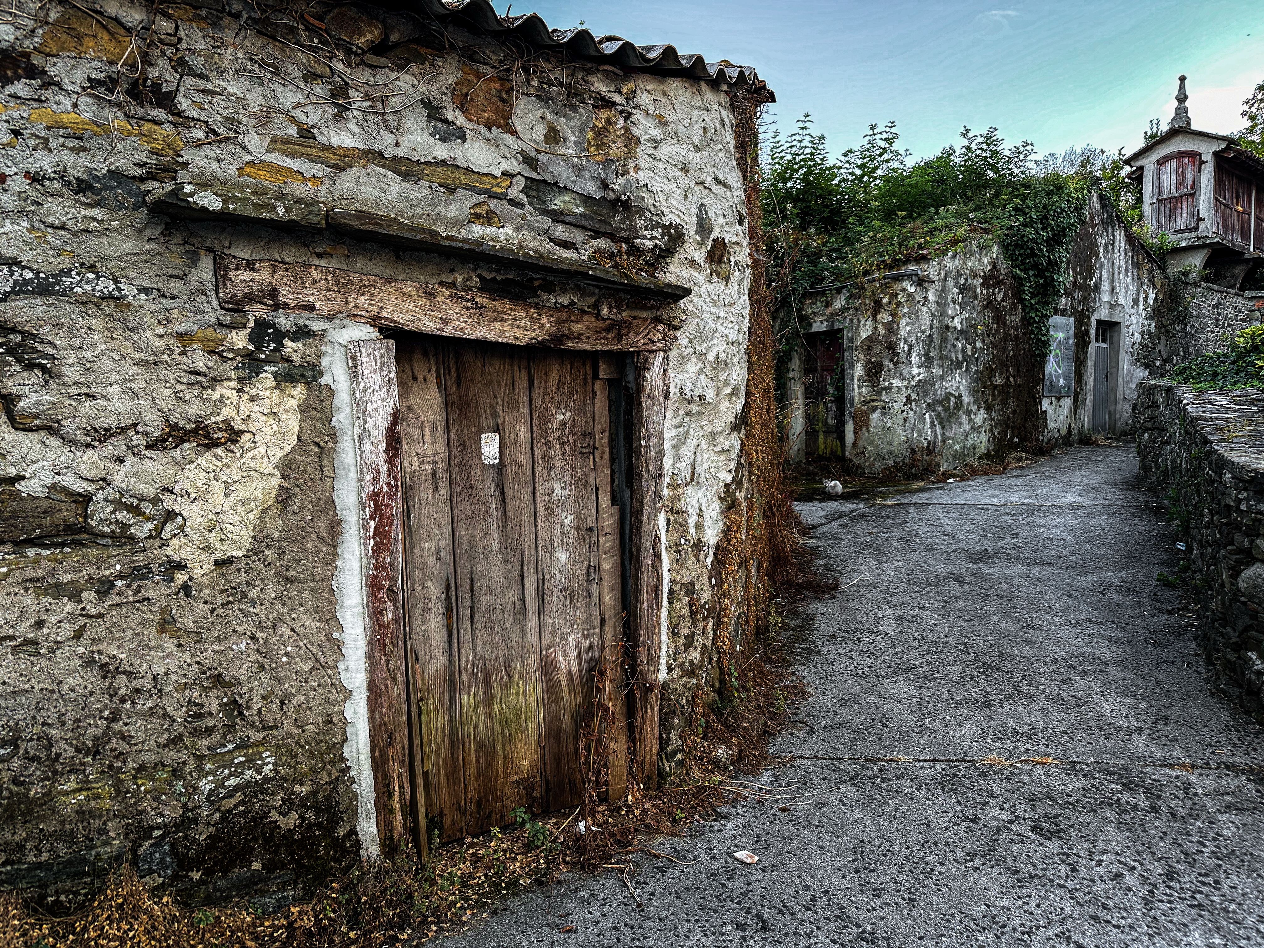 Old house in Melide I Trektok